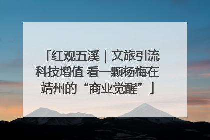 红观五溪｜文旅引流 科技增值 看一颗杨梅在靖州的“商业觉醒”