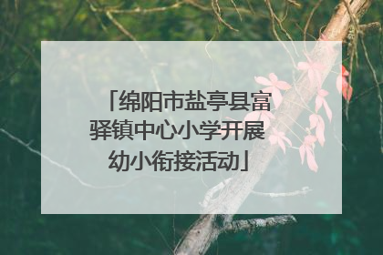 绵阳市盐亭县富驿镇中心小学开展幼小衔接活动