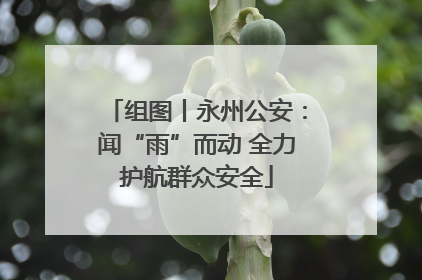 组图丨永州公安：闻“雨”而动 全力护航群众安全