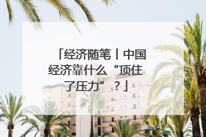 经济随笔丨中国经济靠什么“顶住了压力”？