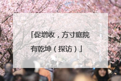 促增收，方寸庭院有乾坤（探访）