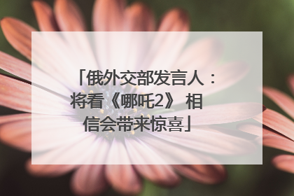 俄外交部发言人：将看《哪吒2》 相信会带来惊喜