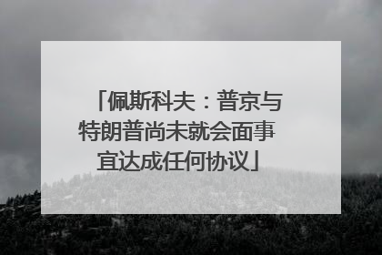 佩斯科夫：普京与特朗普尚未就会面事宜达成任何协议