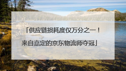 供应链损耗度仅万分之一！来自嘉定的京东物流师夺冠