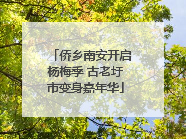 侨乡南安开启杨梅季 古老圩市变身嘉年华