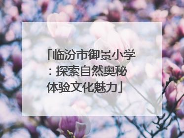 临汾市御景小学：探索自然奥秘 体验文化魅力