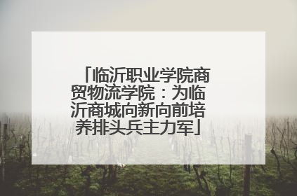 临沂职业学院商贸物流学院：为临沂商城向新向前培养排头兵主力军