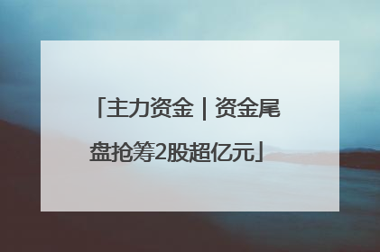 主力资金｜资金尾盘抢筹2股超亿元