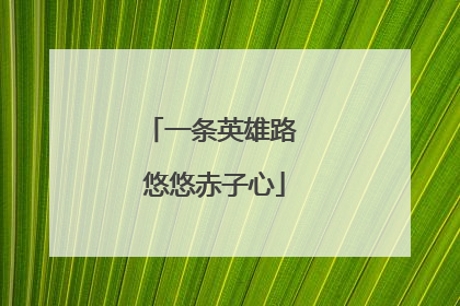 一条英雄路 悠悠赤子心