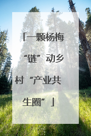 一颗杨梅“链”动乡村“产业共生圈”