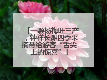 一颗杨梅旺三产，钟祥长滩四季采摘带给游客“舌尖上的惊喜”
