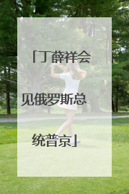 丁薛祥会见俄罗斯总统普京