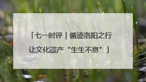 七一时评｜循迹洛阳之行 让文化遗产“生生不息”