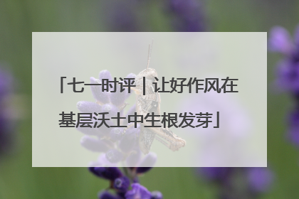 七一时评｜让好作风在基层沃土中生根发芽