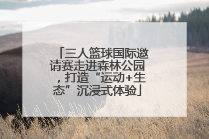 三人篮球国际邀请赛走进森林公园，打造“运动+生态”沉浸式体验