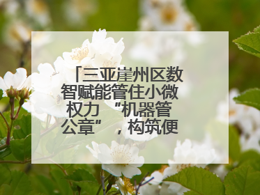 三亚崖州区数智赋能管住小微权力 “机器管公章”，构筑便民服务新生态