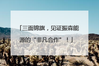 三面锦旗，见证振森能源的“非凡合作”！