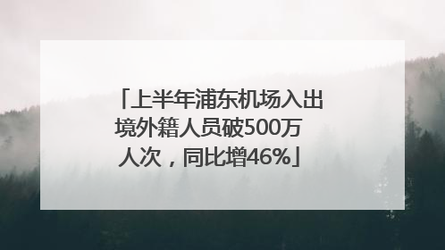 上半年浦东机场入出境外籍人员破500万人次，同比增46%