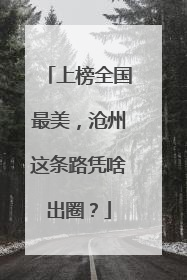 上榜全国最美，沧州这条路凭啥出圈？