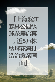 上海滨江森林公园绣球花展启幕，近5万株绣球花海打造治愈系画面
