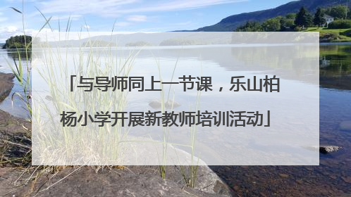 与导师同上一节课，乐山柏杨小学开展新教师培训活动