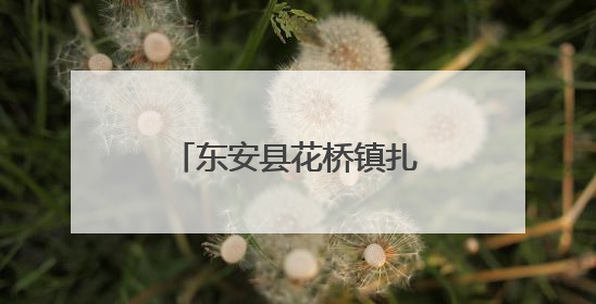东安县花桥镇扎实开展2025年度低保年审工作