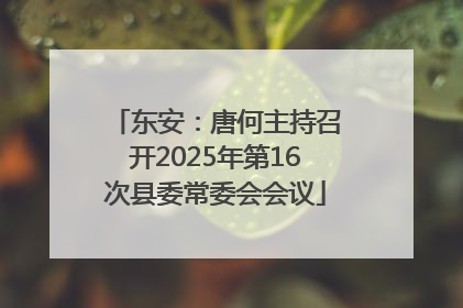 东安：唐何主持召开2025年第16次县委常委会会议