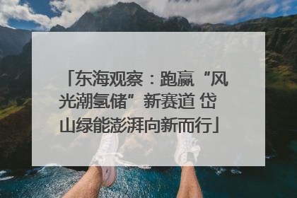 东海观察：跑赢“风光潮氢储”新赛道 岱山绿能澎湃向新而行