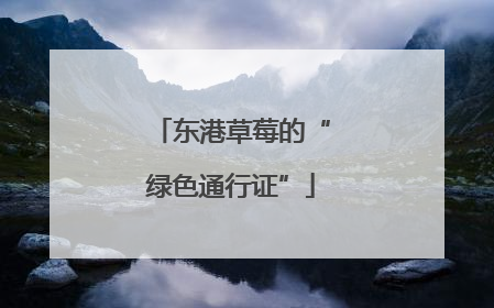 东港草莓的“绿色通行证”