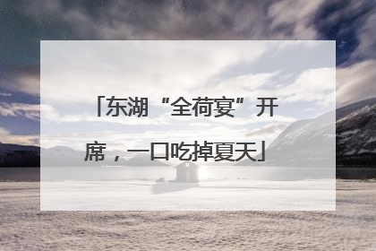 东湖“全荷宴”开席，一口吃掉夏天