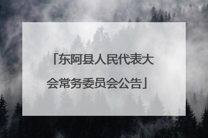 东阿县人民代表大会常务委员会公告