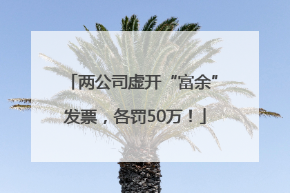 两公司虚开“富余”发票，各罚50万！