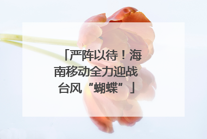 严阵以待！海南移动全力迎战台风“蝴蝶”