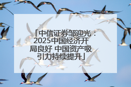 中信证券邹迎光：2025中国经济开局良好 中国资产吸引力持续提升