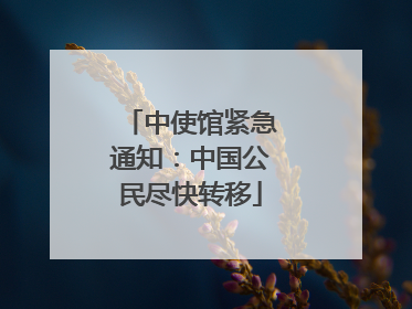 中使馆紧急通知：中国公民尽快转移
