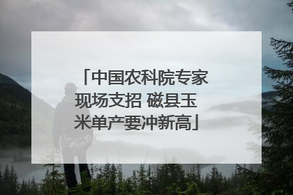 中国农科院专家现场支招 磁县玉米单产要冲新高
