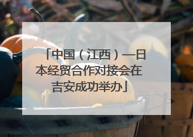 中国（江西）—日本经贸合作对接会在吉安成功举办