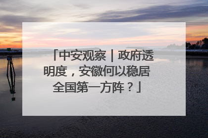 中安观察｜政府透明度，安徽何以稳居全国第一方阵？
