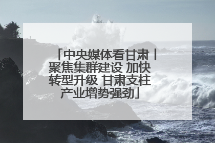 中央媒体看甘肃丨聚焦集群建设 加快转型升级 甘肃支柱产业增势强劲