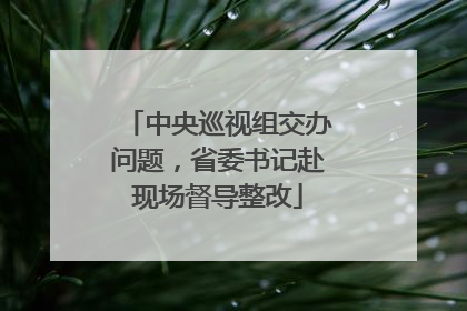 中央巡视组交办问题，省委书记赴现场督导整改