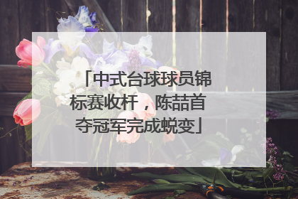 中式台球球员锦标赛收杆，陈喆首夺冠军完成蜕变