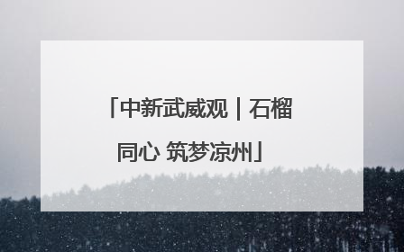 中新武威观｜石榴同心 筑梦凉州