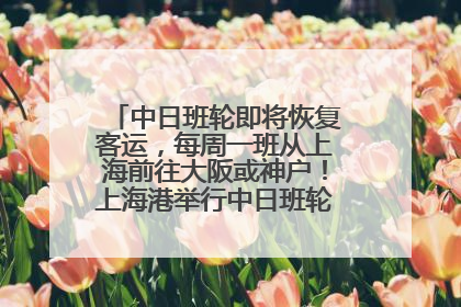 中日班轮即将恢复客运，每周一班从上海前往大阪或神户！上海港举行中日班轮船港联动应急演练