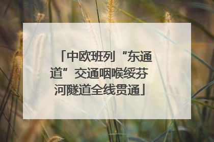 中欧班列“东通道”交通咽喉绥芬河隧道全线贯通