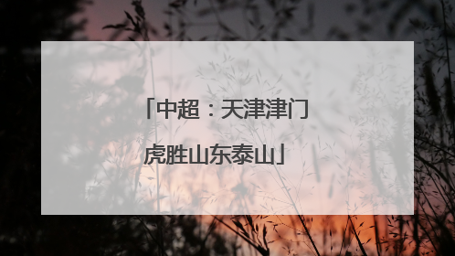 中超：天津津门虎胜山东泰山