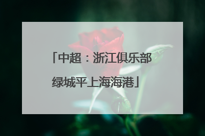 中超：浙江俱乐部绿城平上海海港