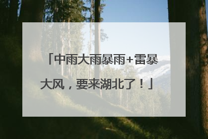 中雨大雨暴雨+雷暴大风，要来湖北了！