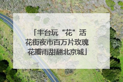 丰台玩“花”活 花街夜市百万片玫瑰花瓣雨甜翻北京城