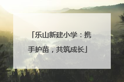 乐山新建小学：携手护苗，共筑成长