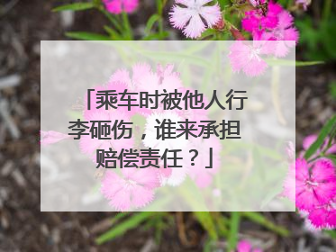 乘车时被他人行李砸伤，谁来承担赔偿责任？